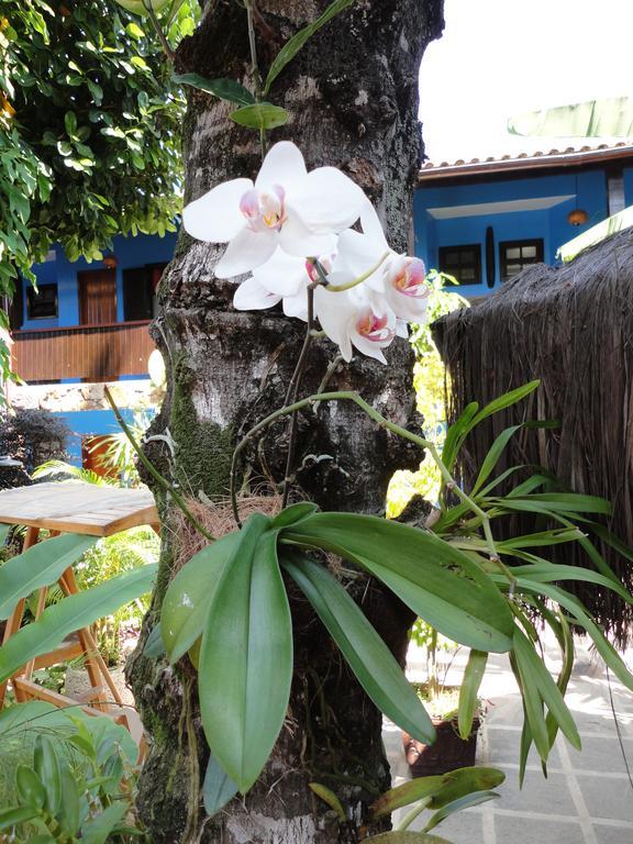 Pousada Dos Meros Vila do Abraao Екстер'єр фото
